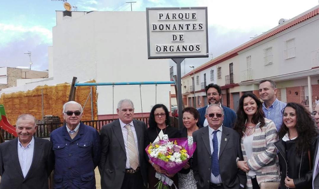 Paradas rotula el Parque Donantes de Órganos