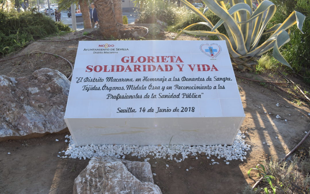 Glorieta Solidaridad y Vida