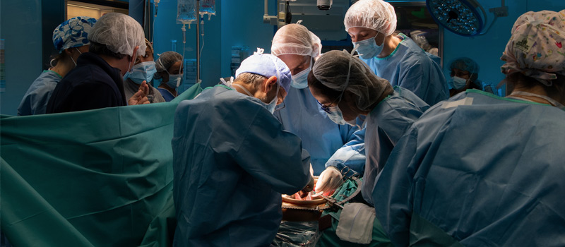 España realiza su primer trasplante de útero con una donación en vivo entre hermanas