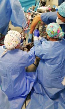 La Unidad de Trasplantes del Hospital Virgen Macarena coordina tres donaciones multiorgánicas en seis días