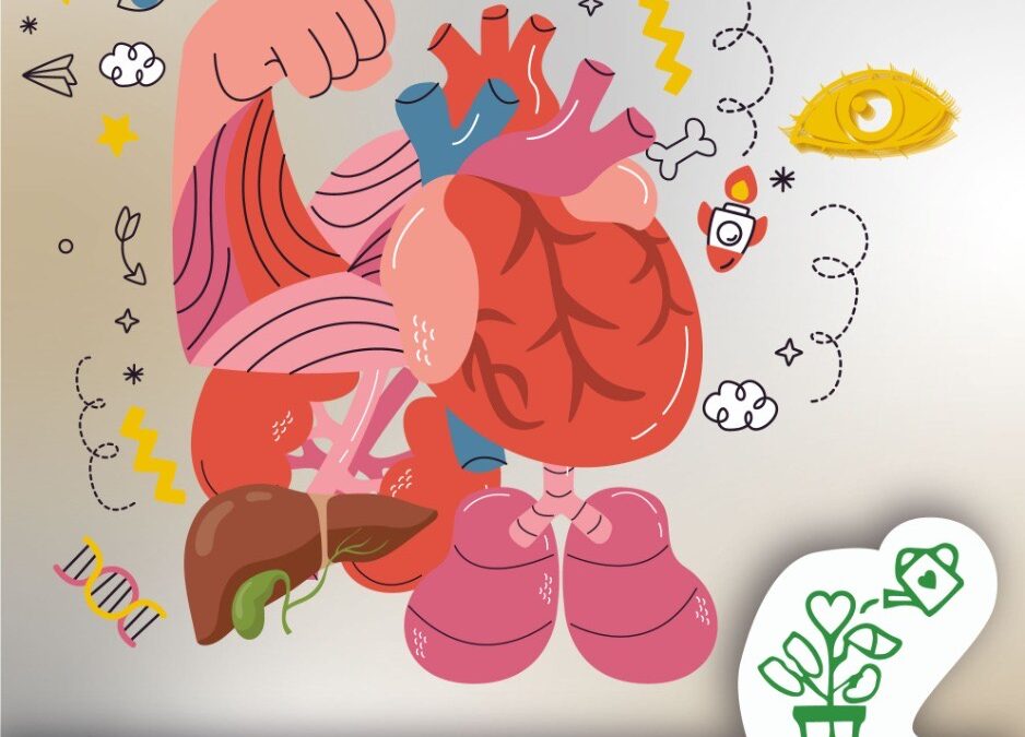 I Carrera-Marcha por los donantes de Órganos y Tejidos