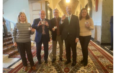 Pedro Rollán, Presidente del Senado